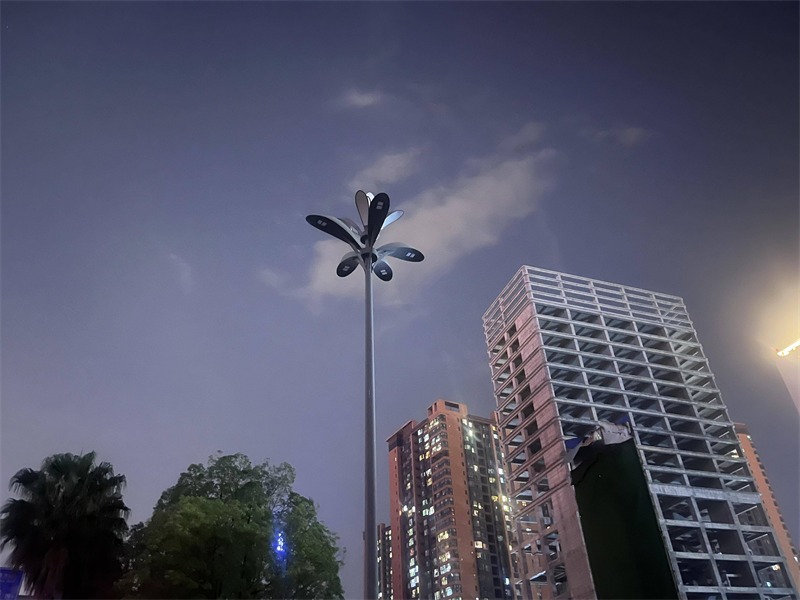 智慧路灯价格高出普通款3倍 这些功能值得投资