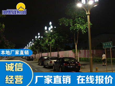 鹏程四路6米玉兰灯造型