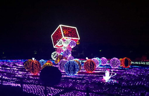 灯光亮化工程,路灯厂家美化城市夜景环境