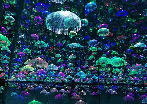 瀚沃打造网红馆:室内空间也有绚丽的灯光展-明思维照明