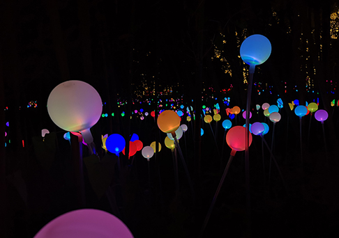 淮阴市亮化工程:打造无与伦比的夜景-明思维照明