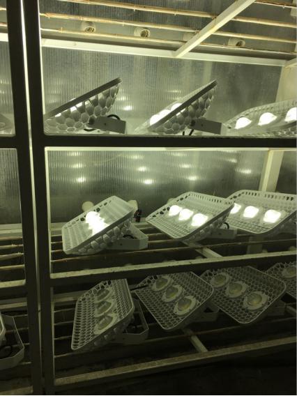 led投光灯