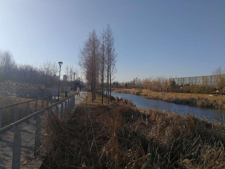 庭院路灯