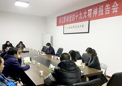 学习贯彻十九大报告 副本