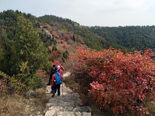下山